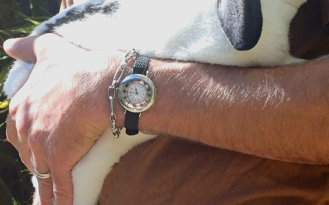 Tavannes Half Hunter