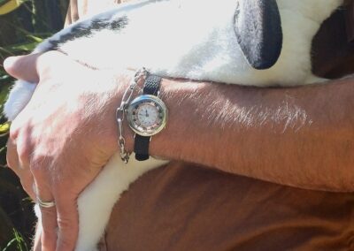 Tavannes Half Hunter