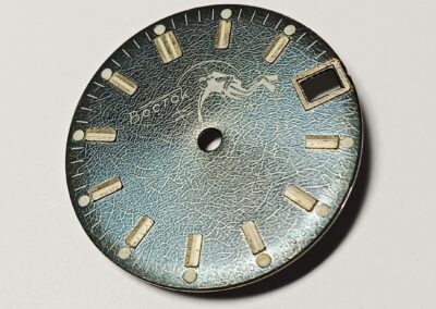 Vostok Amphibia